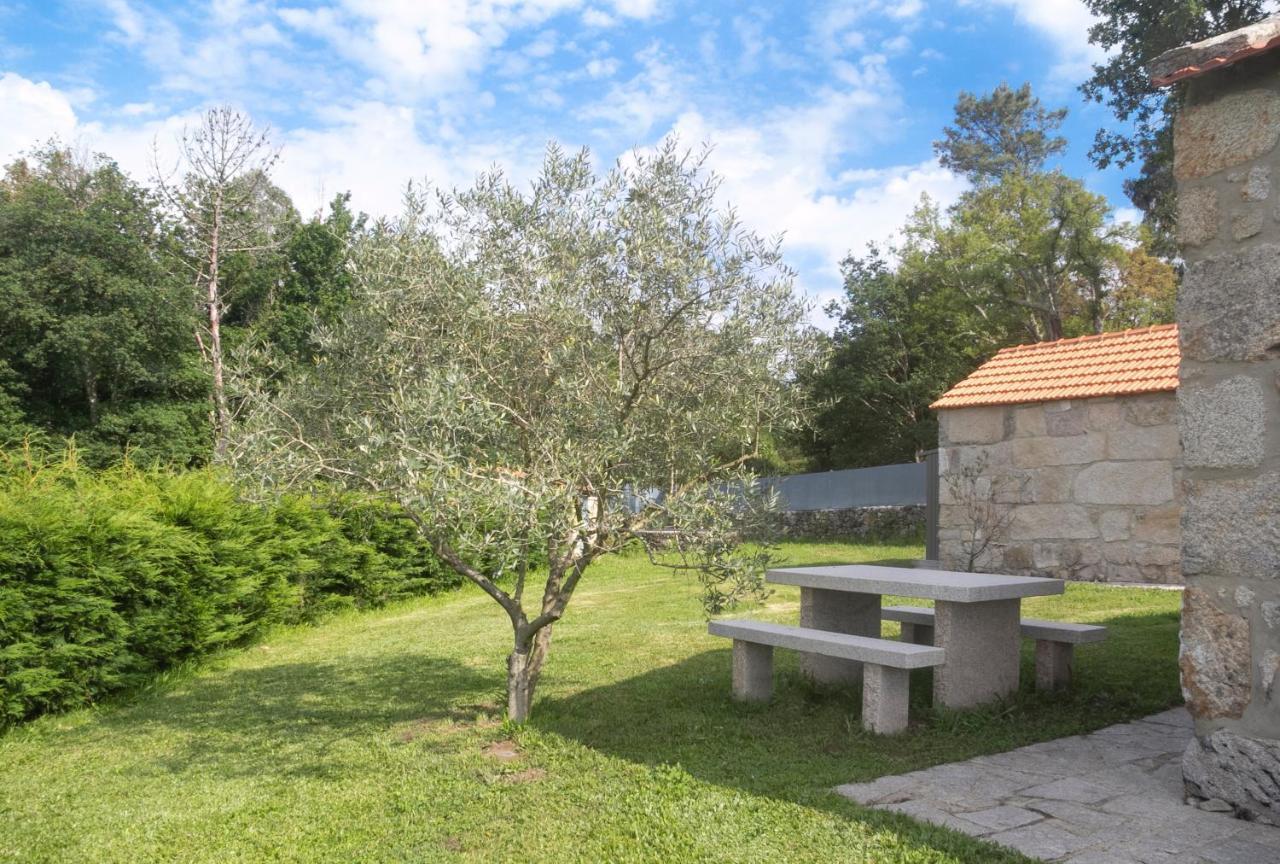 Casas D'Oliva Apartment Caramulo Bagian luar foto